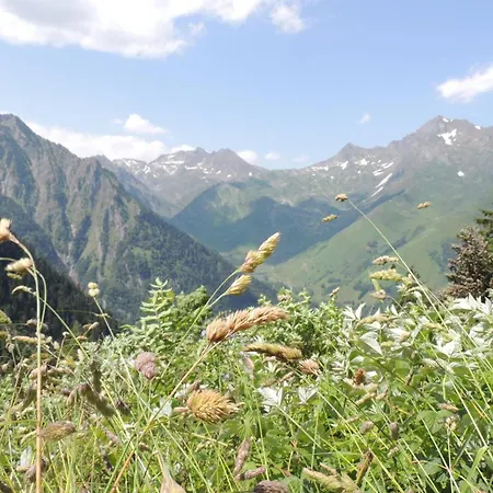 Duplex 2/3 Pers, Hyper-centre Cauterets, A 300m Telecabine, Parking Proche - Fr-1-234-314 *