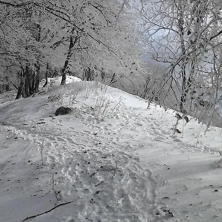 Duplex 2/3 Pers, Hyper-centre Cauterets, A 300m Telecabine, Parking Proche - Fr-1-234-314 Apartamento Cauterets